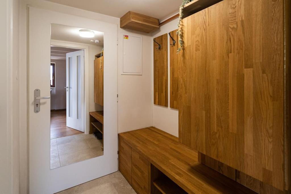 Luxusni Byt S Terasou V Centru Brno Ngoại thất bức ảnh